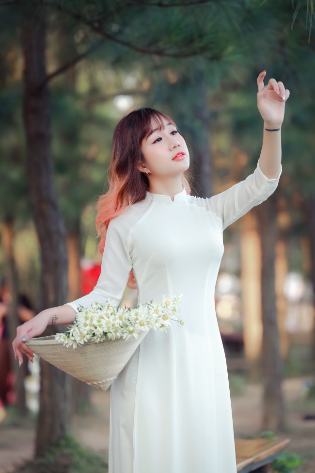 牡丹仙子